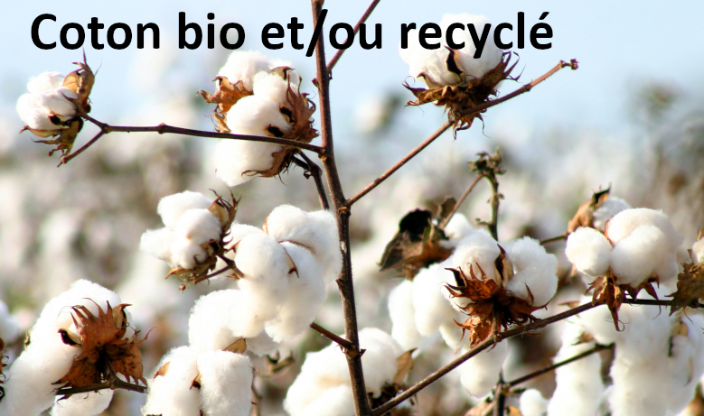 Coton bio et/ou recyclé